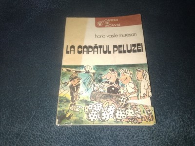 HORIA VASILE MURESAN - LA CAPATUL PELUZEI foto