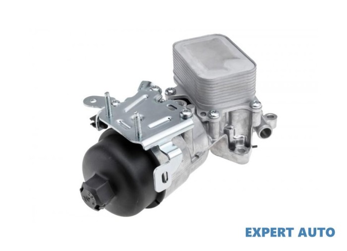 Baterie filtru ulei + termoflot Citroen Berlingo (2008-&gt;) [B9] #1