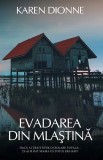 Evadarea din mlastina | Karen Dionne, Rao