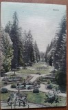 Carte postala, parcul din Buzias, 1913