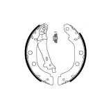 Set saboti frana Delphi LS1828, parte montare : Punte Spate