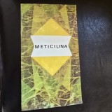 Meticilina, carte de prezentare medicament