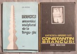Ion Mocioi - Br&acirc;ncuși: ansamblul sculptural de la T&icirc;rgu-Jiu + Estetica operei...