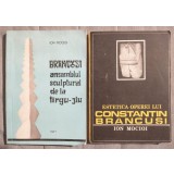 Ion Mocioi - Br&acirc;ncuși: ansamblul sculptural de la T&icirc;rgu-Jiu + Estetica operei...