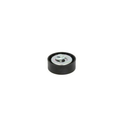 Rola ghidare FIAT BRAVA 182 DAYCO APV1041 foto