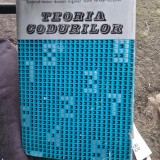 TEORIA CODURILOR - ION ANGHELOIU, Cartonata