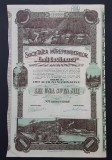 Actiune 1942 Sinaia , soc. E. Costinescu , titlu 100 actiuni nominative