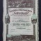 Actiune 1942 Sinaia , soc. E. Costinescu , titlu 100 actiuni nominative