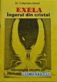 Exela: &Icirc;ngerul din cristal - 2006 - Dr. Crasmaru Alexei (R363)