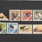 ROMANIA 1965 LP 620 CAINI DE VANATOARE SERIE MNH NESTAMPILATA