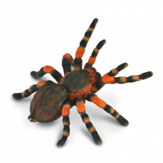 Figurina Tarantula Mexicana cu genunchi rosii Collecta, 8 x 8.7 cm foto