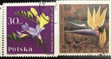 Timbre - Polonia Polska - >50 - Serie - Tematica Plante