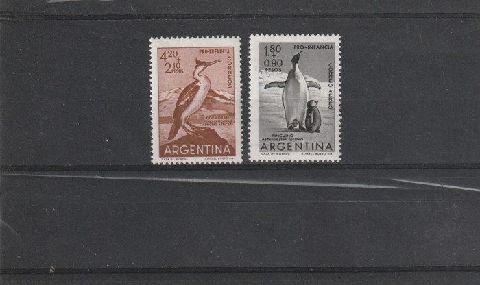 Fauna,pinguini ,Argentina.