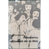 Adunarea nationala de la Blaj &ndash; Victor Cherestesiu
