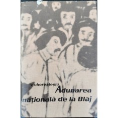 Adunarea nationala de la Blaj &ndash; Victor Cherestesiu