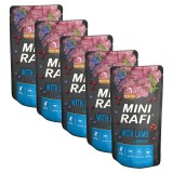 Rafi Adult Mini GF with Lamb 5 x 150 g