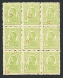 ROMANIA 1909/14 LP 67c REGELE CAROL I TIPOGRAFIATE -BLOC x9 MNG CU DIVERSE ERORI
