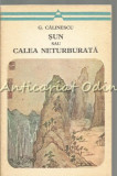 Sun Sau Calea Neturburata - G. Calinescu