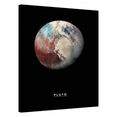 Tablou Canvas, Tablofy, Pluto, Printat Digital, 90 &amp;times; 120 cm foto