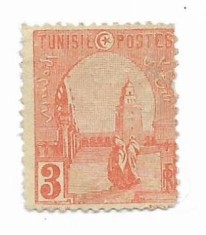 Tunisia - Teme locale, 1906, valoare neobliterata