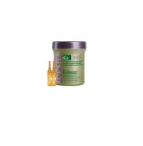 Lot bulboton pt par 12 fiole