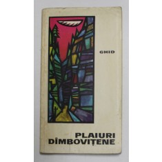 PLAIURI DAMBOVITENE , text de DORIN IANCU , ilustratii de ELENA TOMA , 1969