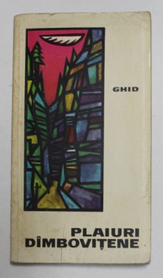 PLAIURI DAMBOVITENE , text de DORIN IANCU , ilustratii de ELENA TOMA , 1969 foto
