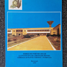 HIBRIZI DE PORUMB CREATI LA INSTITUTUL DE CERCETARI FUNDULEA 1993