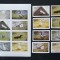 STATE OF OMAN - GISTE-8V.+ 1 M/SH NEDANT., NEOB. - O 061