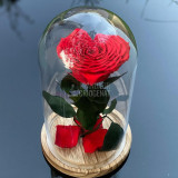 Cumpara ieftin Trandafir Criogenat inima rosu &Oslash;9cm in cupola 12x25cm