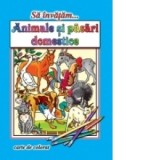 Sa invatam... Animale si pasari domestice. Carte de colorat, format A4 - Dana Popescu