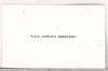 Bnk div Carte de vizita cu felicitare olografa - Puia Florica Rebreanu - 1971