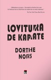 Lovitura de karate | Dorthe Nors, 2019, Rao