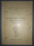 Al.&nbsp;Beldie, C. Chiriță - Plante indicatoare din pădurile noastre