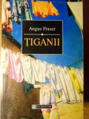 TIGANII-ANGUS FRASER foto