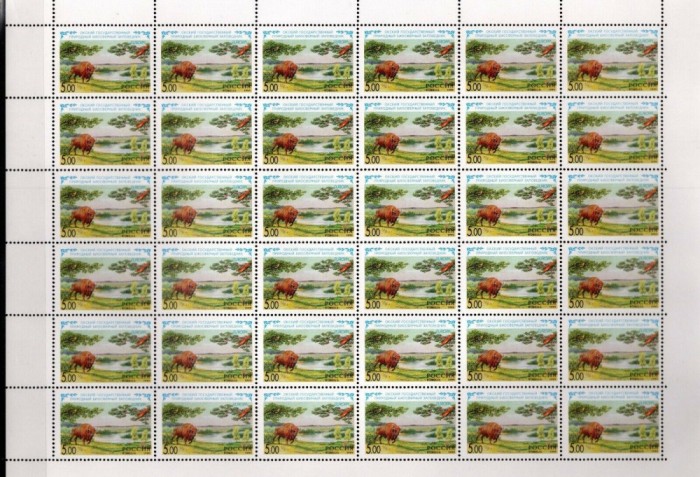 RUSIA 1999 EUROPA CEPT COTA MICHEL 144 EURO