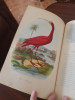 Istoria naturală a păsărilor / Isidore Geoffroy-Saint-Hillaire / Anul 1853