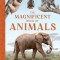 The Magnificent Book of Animals