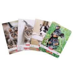Caiet Herlitz motiv Cats Dogs, A5, 36 file, h&acirc;rtie 80g/Mp Fsc Mix, Tip I