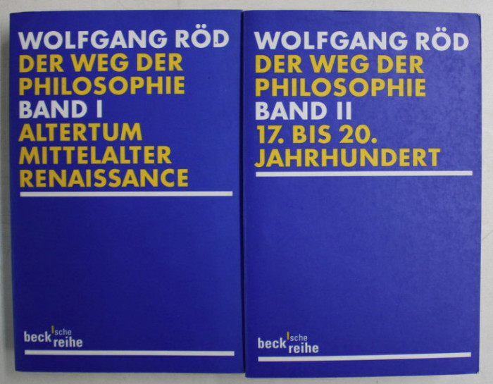 Der Weg der Philosophie von den Anf&auml;ngen bis ins 20. Jahrhundert / Wolfgang R&ouml;d