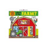 What's on My Farm?: A Slide-And-Find Book with Flaps