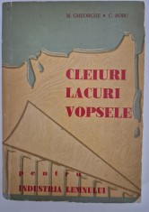 M Gheorghe Cleiuri lacuri vopsele pentru industria lemnului
