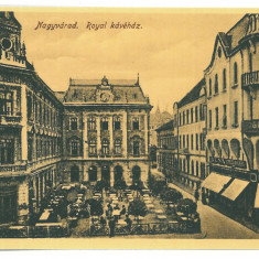 5371 - ORADEA, Romania - old postcard - unused - 1916