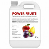 Ingrasamant cu humat de potasiu pentru livezi Power Fruits 10 litri