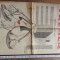 Publicația &bdquo;Vremea&rdquo; 1937, NR 480 * ARTICOLE CONSTANTIN NOICA SI MIRCEA ELIADE