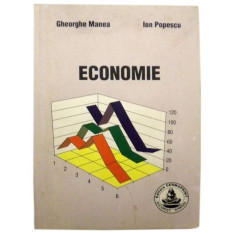 Economie - Gheorghe Manea, Ion Popescu