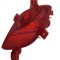 Lampa ceata spate Hyundai I30 (Gd), 03.2012-03.2017, parte montare Spate, Dreapta, TYC 40C2981E