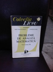 PROBLEME DE ANALIZA MATEMATICA VOL.I (CLASA XI) - ION PETRICA