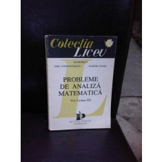 PROBLEME DE ANALIZA MATEMATICA VOL.I (CLASA XI) - ION PETRICA