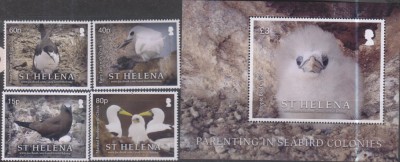 Timbre cu păsări din St. Helena foto